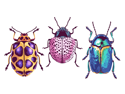 Bugs & Beetles