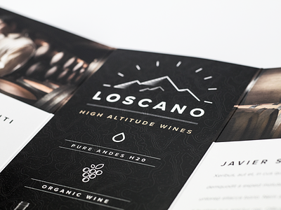 High Altitude Wines | Brochure branding gold icons map quirky simple wine