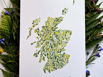 Botanical Scotland botanical illustration maps scotland
