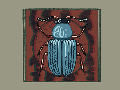 Beetle beetle digital illustration insect