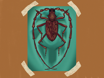 Beetle #2 beetle digital digitalart illustration insect