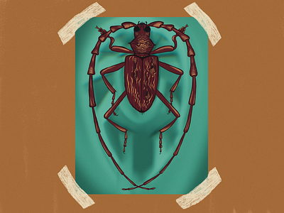 Beetle #2