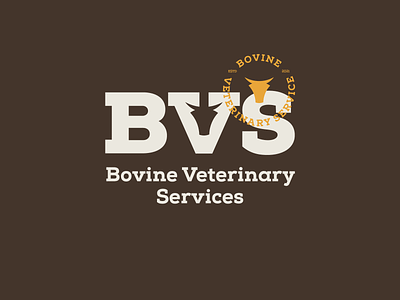 BVS | Logotype