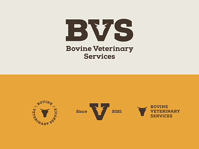 BVS | Logo variants lockup