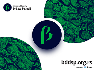 BDDSP 🌿 | Promo banner biology branding green letter logo mark nature organization society synezis ui visual identity