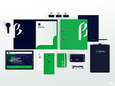 BDDSP 🌿 | Stationery biology branding green letter logo mark nature organization society synezis visual identity β