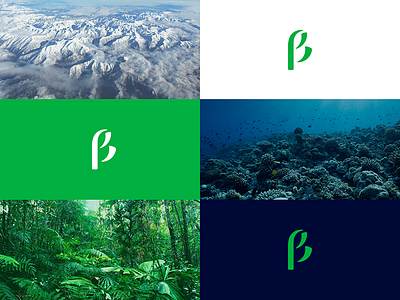 BDDSP 🌿 | Logo versions biology branding green letter logo mark nature organization society synezis ui visual identity