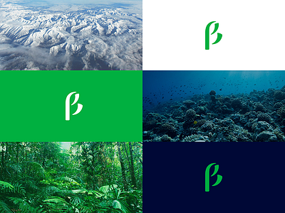 BDDSP 🌿 | Logo versions