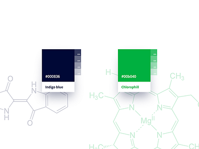 BDDSP 🌿 | Color swatches