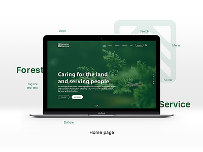 🌲 Forest Service | Website 🌲