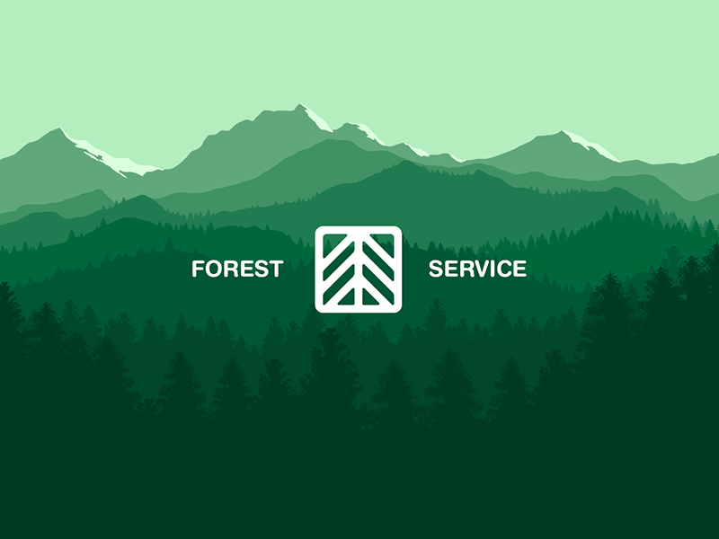 🌲 Forest Service | Vector landscape wallpaper 🌲 by Đorđe Vukojević on  Dribbble