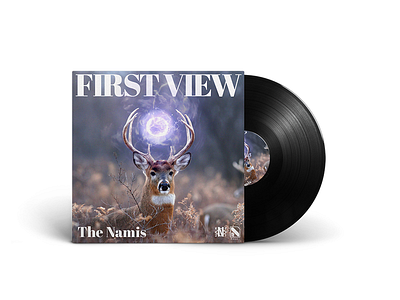 💽 The Namis - First View 💽 album album art art cover cover art design gradient idustry logo design manipulation music music art package photoshop produce