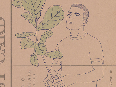 Repotting Plant houseplant illustration ink drawing lifestyle