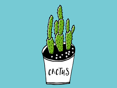 Cactus 01 cactus drawing green illustration indoor plant nature opuntia prickly pear