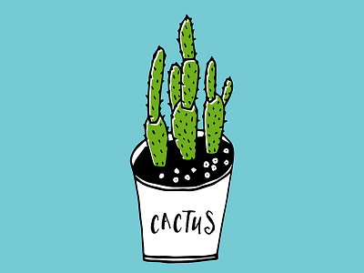 Cactus 01