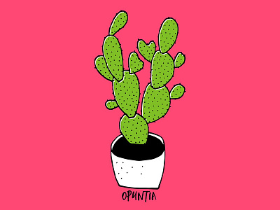 Cactus 02 cactus cholla drawing garden green illustration nature opuntia plant pricklypear succulent