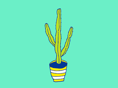 Cactus 07 cactus calymmanthium decor drawing garden house plant illustration pop art succulent