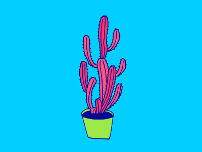 Cactus 08