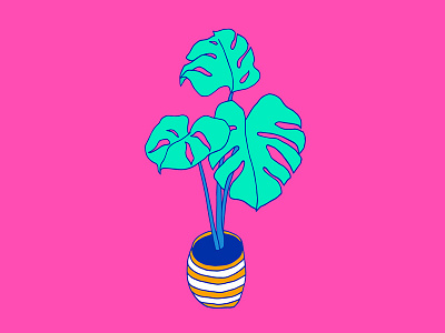 House Plant 01 ceriman decor drawing fruit salad tree house plant illustration mexican breadfruit monstera deliciosa pop art splitleaf philodendron swiss cheese plant tropical