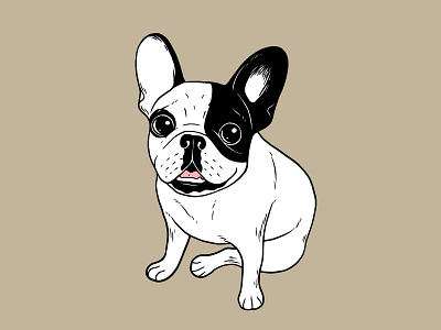 Single Hooded Brindle Pied Frenchie animal brindle pied cute dog drawing french bulldog frenchie illustration pet puppy single hooded