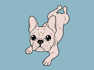 Frog Leg Cream French Bulldog