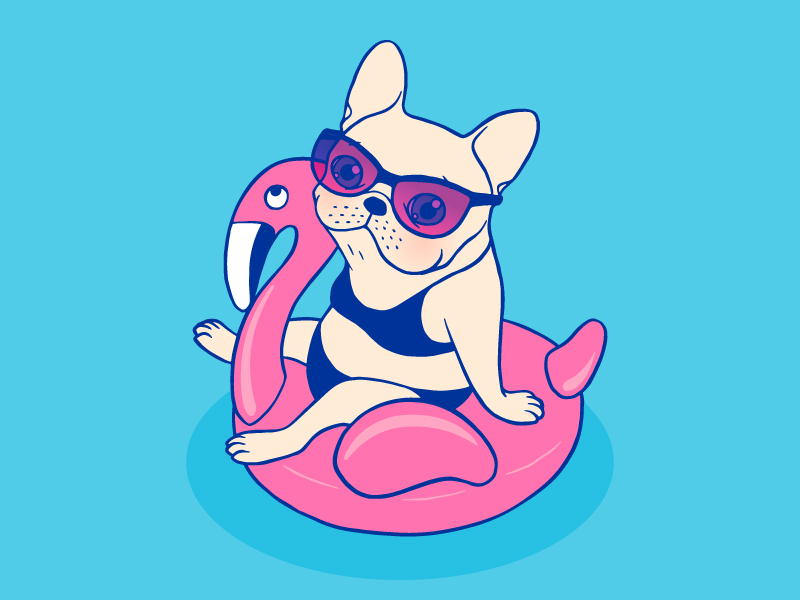 Frenchie enjoys Summer on Flamingo Pool Float in swimming pool by Chee ...