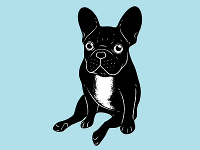 Cute brindle French Bulldog in black and white digital art