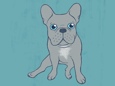 Come Pet The Cute Blue French Bulldog Puppy Digital Art by Chee Sim on ...