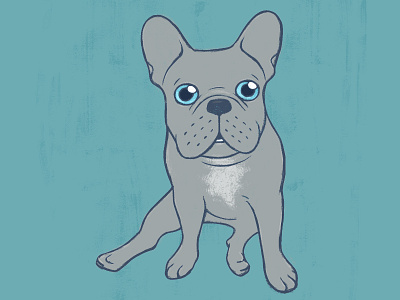 Come Pet The Cute Blue French Bulldog Puppy Digital Art