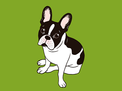 Cute double hooded pied French Bulldog animal cute dog digital art dog lover double hooded pied frenchie drawing french bulldog illustration pet puppy