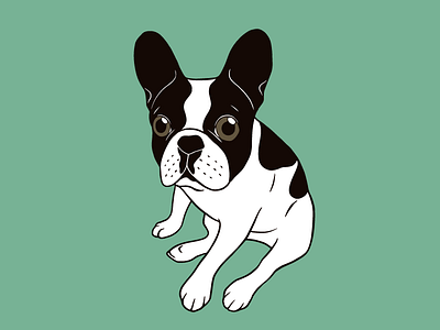 Cute double hooded pied Frenchie is chilling animal cute dog digital art dog lover double hooded pied frenchie drawing french bulldog frenchie illustration pet puppy