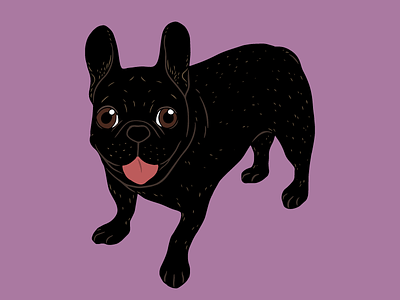 Say hello to the cute all black brindle French Bulldog puppy all black brindle brindle frenchie cute dog cute puppy french bulldog frenchie color pattern frenchie drawing frenchie illustration frenchie puppy hello pets life