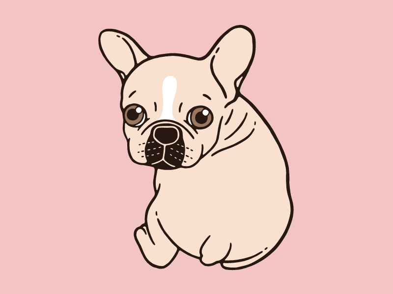 Cute cream Frenchie needs some love by Chee Sim on Dribbble