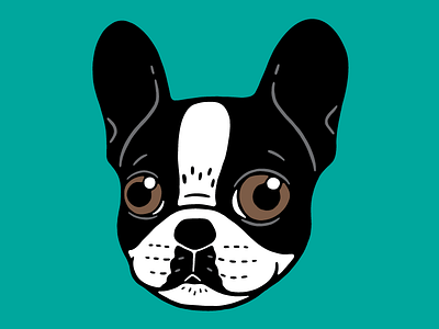 Double Hooded Pied French Bulldog Puppy cute dog cute frenchie double hooded drawing french bulldog frenchie lover illustration pet pied frenchie puppy