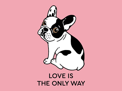 Cute Frenchie knows love is the only way cute frenchie dog french bulldog frenchie frenchie lovers love pets life pied frenchie puppy single hooded