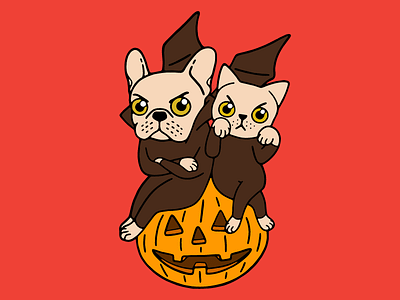 Cute Frenchie and kitten are Halloween buddies cat cream frenchie cute dog french bulldog friends halloween kitten pet pumpkin puppy trick or treating