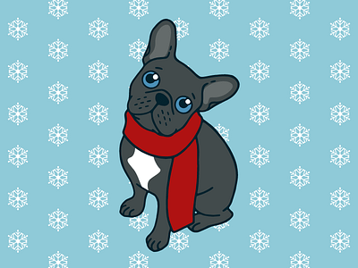 Cute blue Frenchie is ready for winter