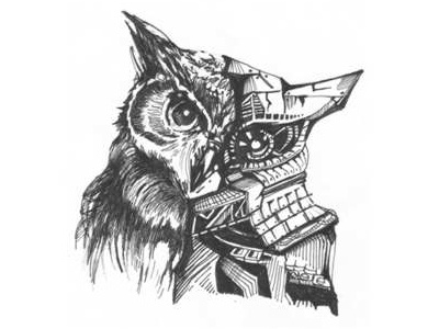 Owl design drawing sketch