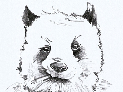 Sunday Special bear drawing illustration panda smoking t shirt