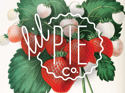 Lil Pie Co. Logo company identity logo pie