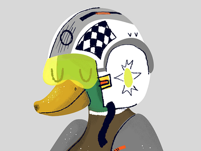 Finished Version bird birdsday children illustration duck illustration project star wars