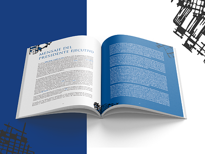 Financial Report - MMG Bank 2017 brand branding design editorial editorial design graphic design illustration print publication vector