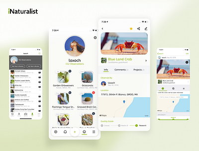 iNaturalist Redesign Concept concept figma figmadesign inspiration interface ios minimalism product design profile redesign ui ux