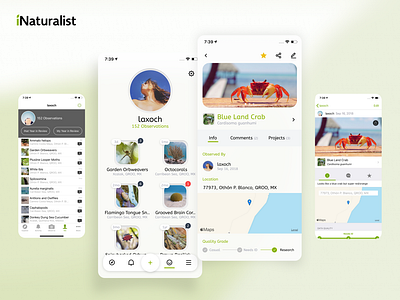 iNaturalist Redesign Concept