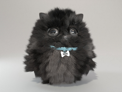 A Cat Called Dog 3d blender cat character dog furry illustration kitty persian