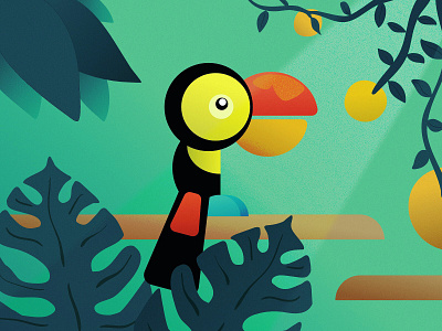 Toucan affinity bird character illustration ipad jungle procreate toucan vector