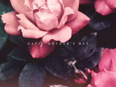 Happy Mother’s Day adobe photoshop colorful feminine floral flowers mom mother mothers day photoshop pinks serif texture