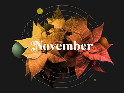 November