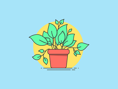 WIP - House Plants Illustration Series