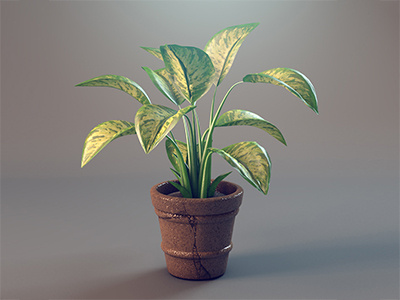 3D Plant 3d plant cody courmier denver eco green house plant leaf pot realistic